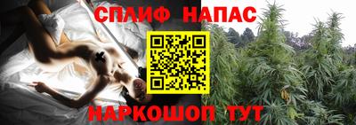 ешки Будённовск