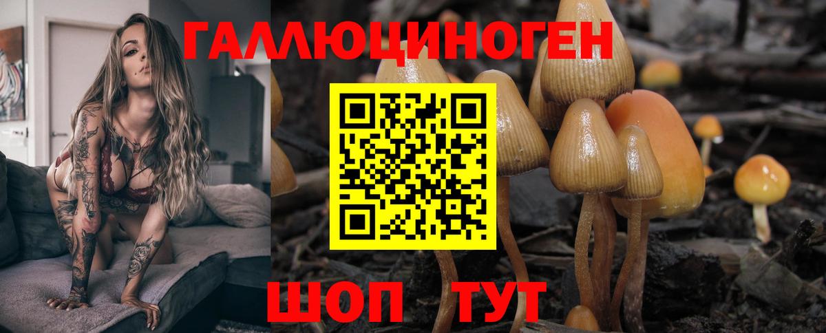 Ульяновск  Галлюциногенные грибы ЛСД  Вход с VPN 